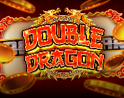 Double Dragon classic